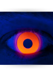 Kontaktlinsen UV Orange