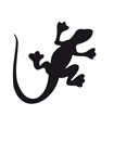 Eulenspiegel Selbstklebe-Schablone Salamander