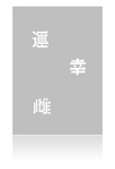 Eulenspiegel Airbrush Schablone Chinese Characters II