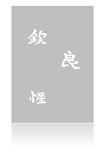 Eulenspiegel Airbrush Schablone Kanji II